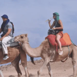 dromadaire dans le désert Agafay