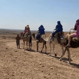 Paseo privado en camello por el desierto de Agafay