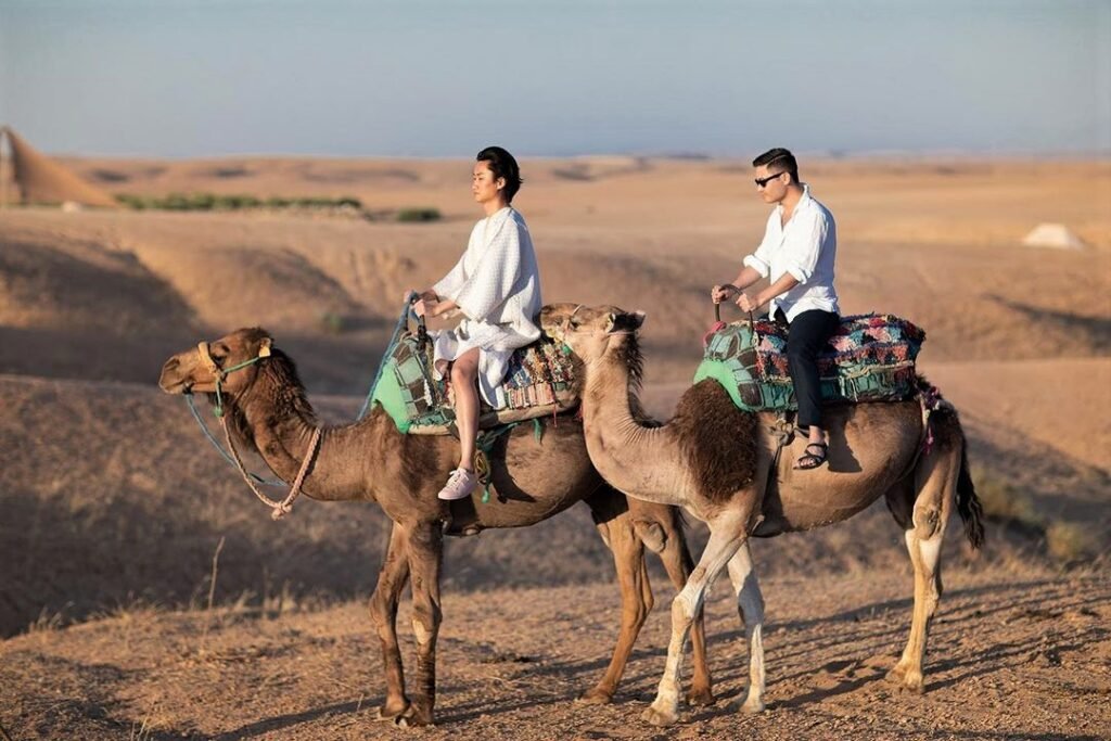camel riding in marrakech